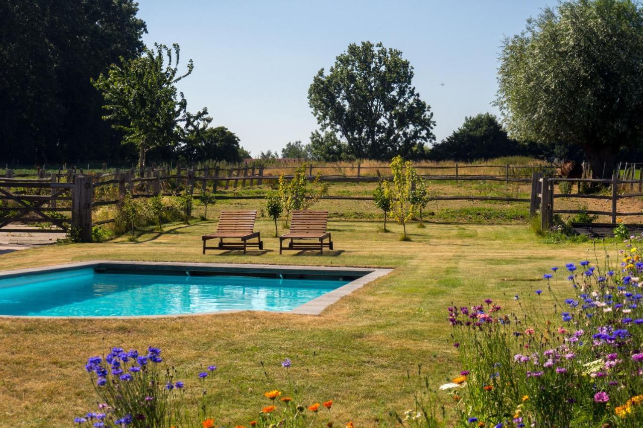 Vakantiewoning De Wilg - Rustig Gelegen Geraardsbergen